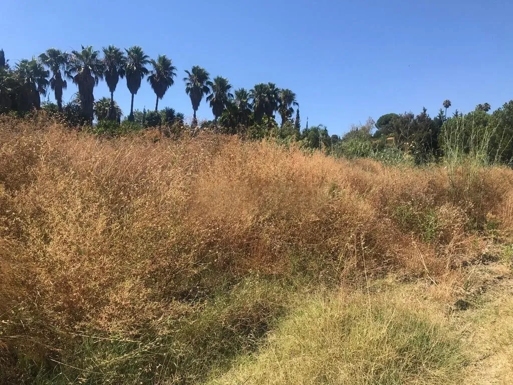 Venta Parcela en Estepona