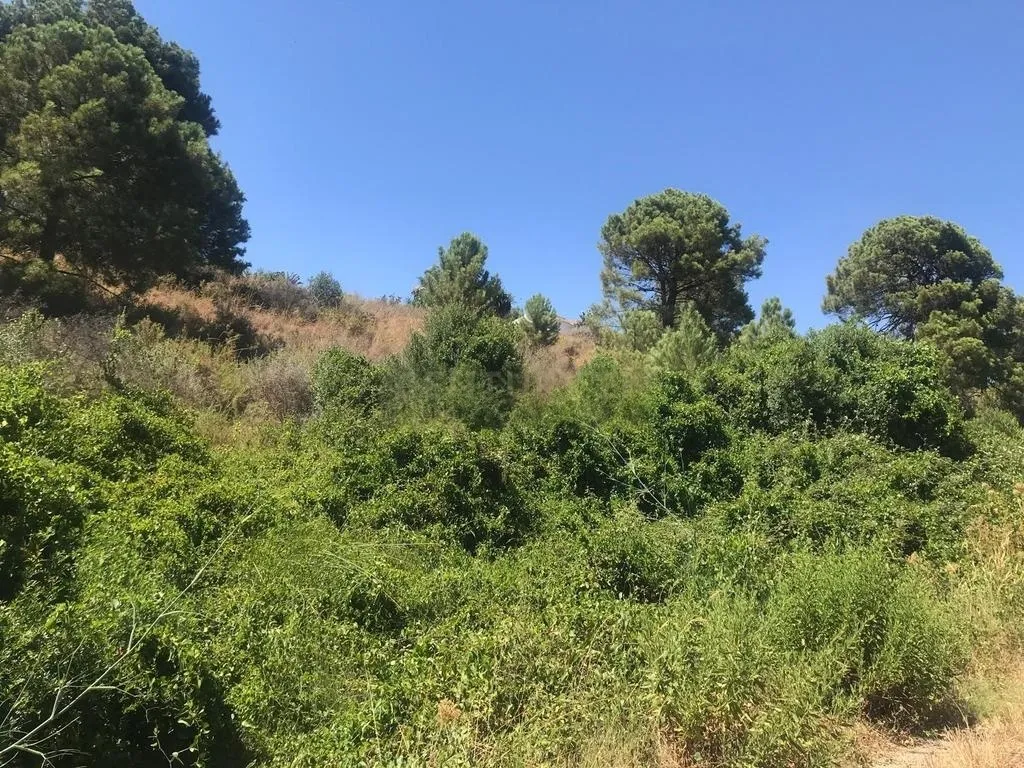 Venta Parcela en Estepona
