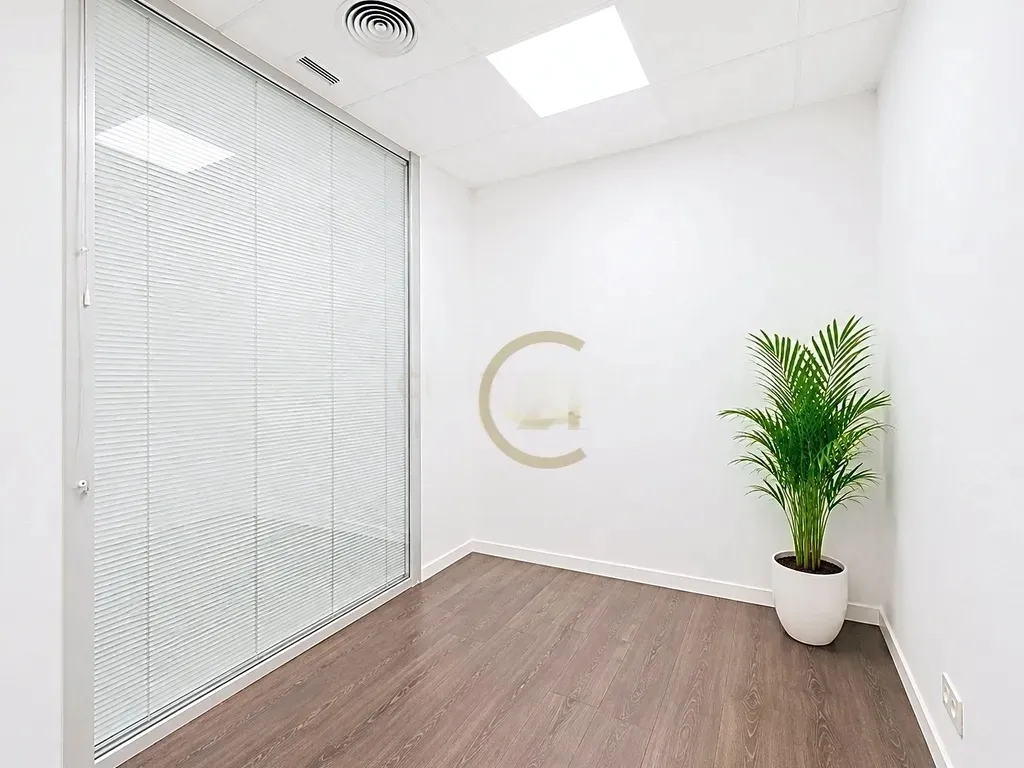 Oficina Premium en el Distrito Financiero de Málaga | Doble acceso y distribución flexible