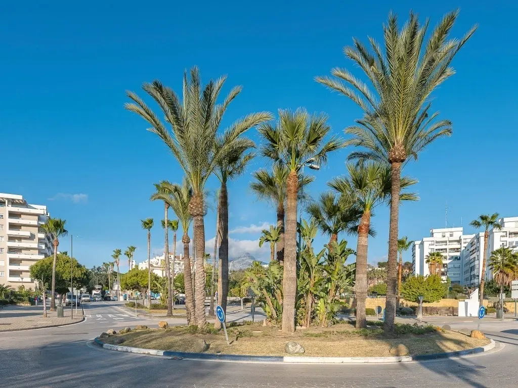¡Oportunidad única alquiler local comercial en La Campana, Nueva Andalucía!