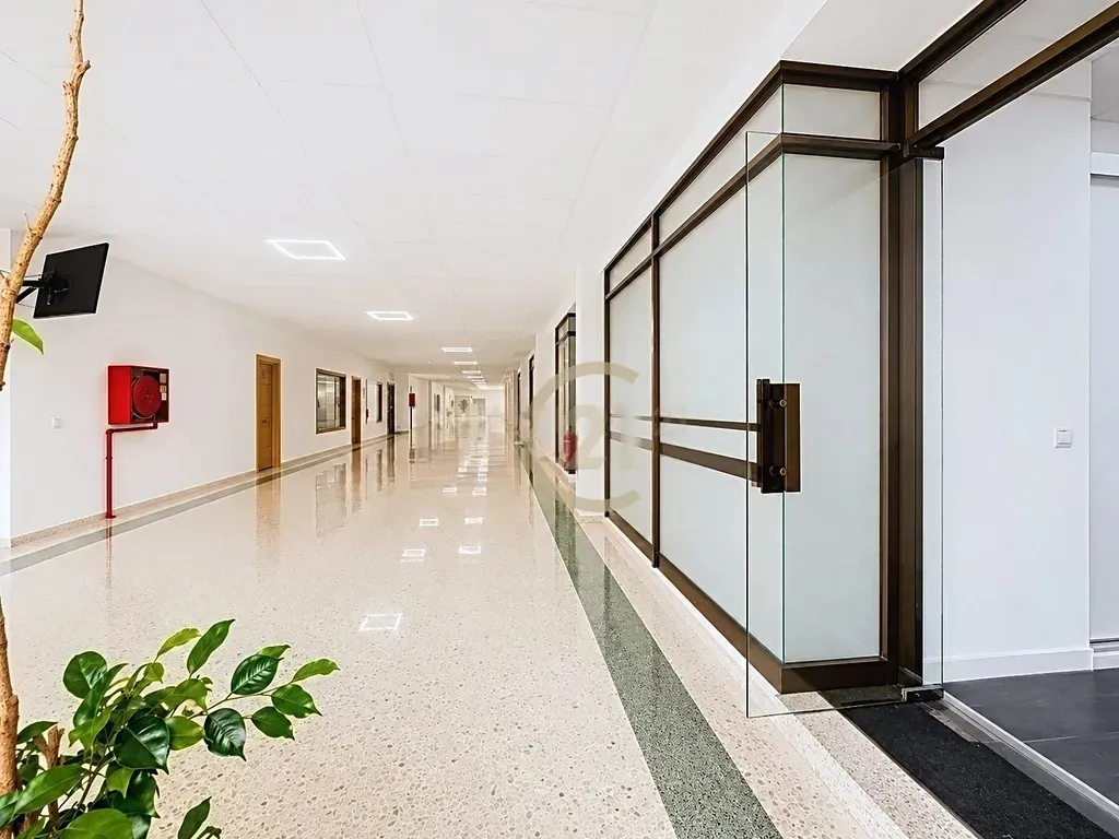 Oficina Premium en el Distrito Financiero de Málaga | Doble acceso y distribución flexible